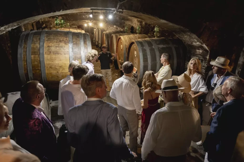 Private wine tour in a Tuscan cellar
